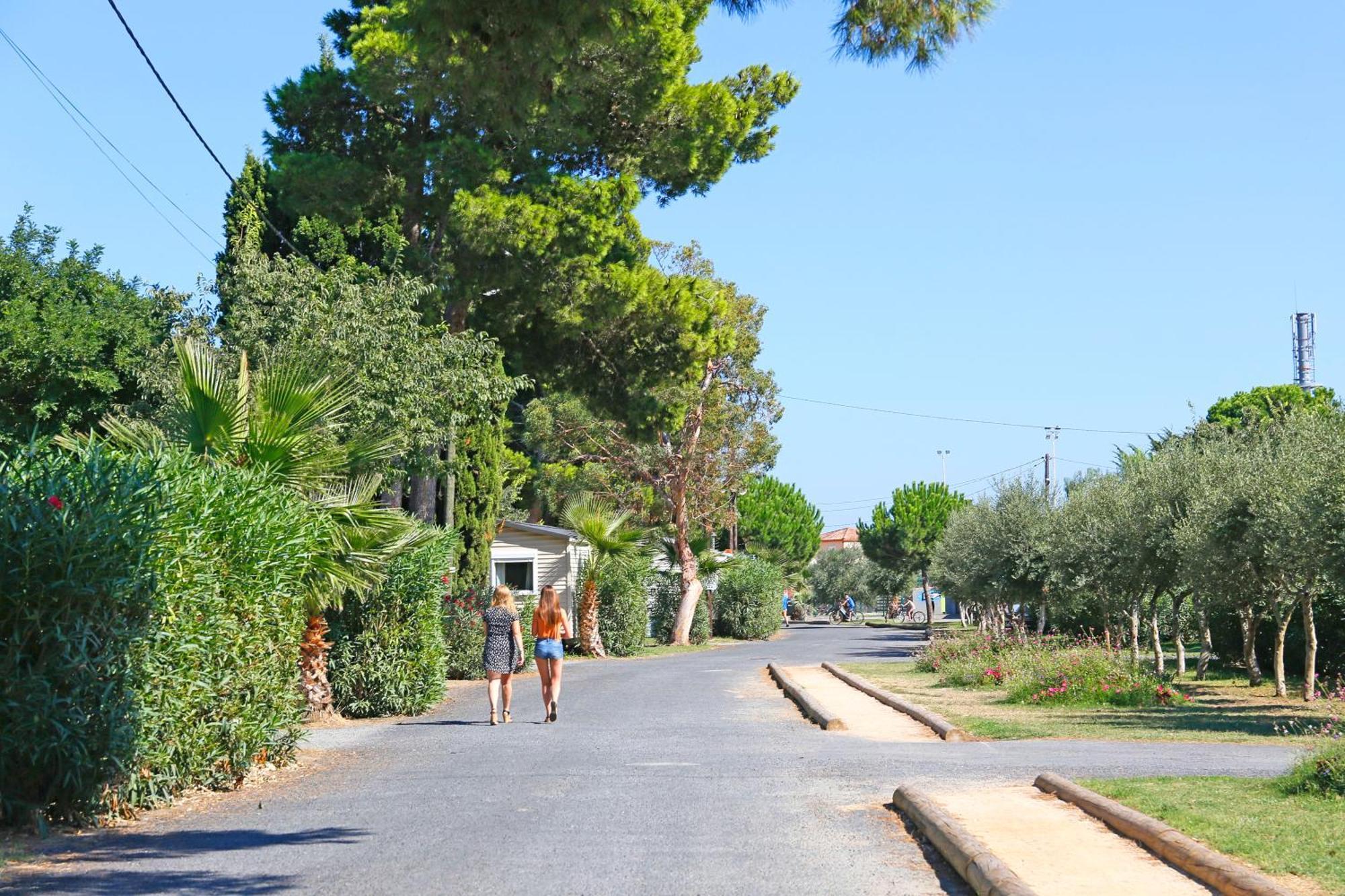 Campingplatz Saint-cyprien Saint-Cyprien (Pyrenees-Orientales)